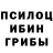 Галлюциногенные грибы Magic Shrooms Hamdan_godisgreat