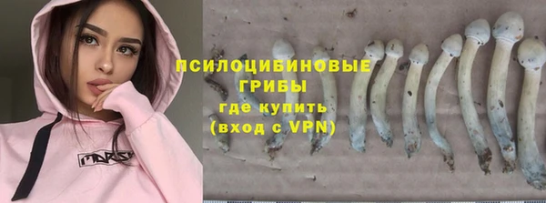 ALPHA PVP Дмитров