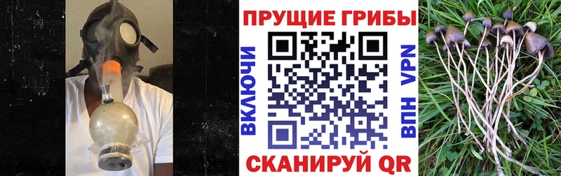 Купить  Лукоянов  Псилоцибиновые грибы ЛСД 
